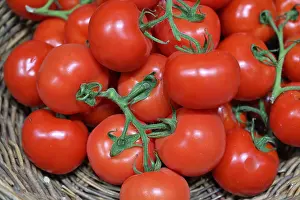 Symbolic Tomato Picture Drucke: Tomatoes