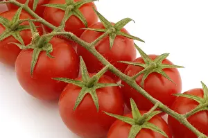 Red Vegetable Drucke: Tomatoes