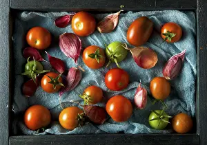 Fresh Vegetables Drucke: Tomatoes on the background. Tomatoes