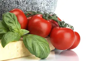 Fresh Tomatoes Drucke: Tomatoes and basil
