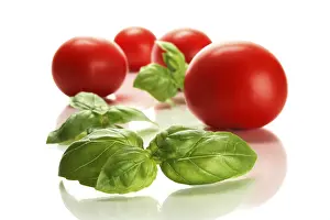 Kitchen Herb Photography Drucke: Tomatoes and basil