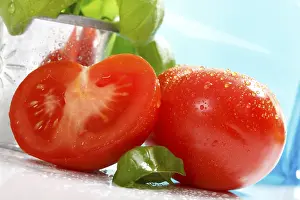Indoor Plant Photography Drucke: Tomatoes and basil