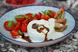 Caprese Salad Drucke: Tomatoes with basil and buffalo mozzarella