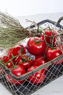 Appetizing Dishes Drucke: Tomatoes in the basket