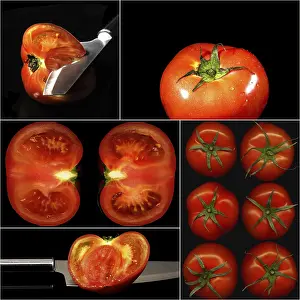 Agricultural Symbolism Drucke: Tomatoes collage composition nested on a black square frame