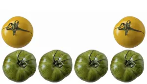 Tomato Food Photography Drucke: Tomatoes, cropped with text space