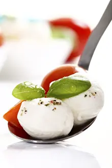 Studio Shot Of Vegetables Drucke: Tomatoes, mozzarella and basil on a spoon