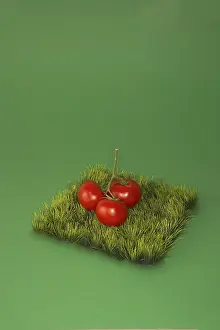 Grocery Store Produce Images Drucke: Tomatoes on a piece of Grass