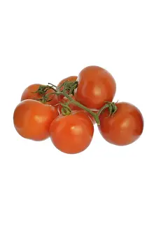 Isolated Tomato Images Drucke: Tomatoes, studio shot against a white background
