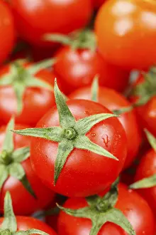 Fresh Vegetables Studio Shot Drucke: Tomatoes Tomato Vegetables from above