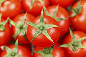 Food Photography Studio Environment Drucke: Tomatoes Tomato Vegetables from above