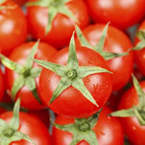 Fresh Organic Vegetables Drucke: Tomatoes Tomato Vegetables from above square
