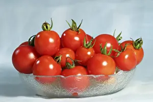 Fruit Vegetable Images Drucke: Tomatos