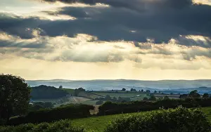 Devon Countryside Drucke: Torquay Fields in the rays of the setting sun