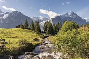 Grindelwald Switzerland Drucke: Torrent, in the back snow-covered north face of the Eiger