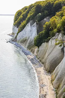 Chalk Cliffs Germany Drucke: Tourists on the beach below the chalk cliffs