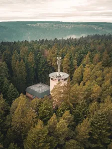 Schwarzwald Landscape Photo Drucke: A tower rises out of a dense forest
