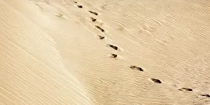 No People Desert Landscape Drucke: Traces in the sand, structures on a sand dune