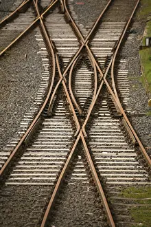 Deserted Railway Tracks Drucke: Tracks with points