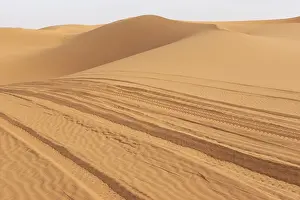 Desert Landscape Drucke: Tracks in sand