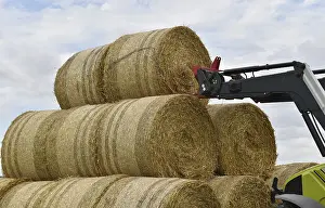 Agricultural Machine Germany Drucke: Tractor with bale fork stacking round bales