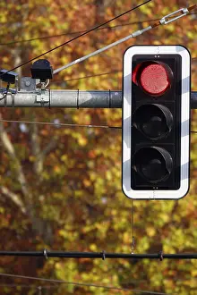 Central European Roads Drucke: Traffic light, Germany