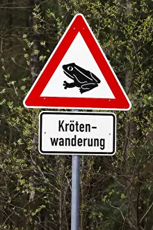 German Federal Republic Signs Drucke: Traffic sign Caution toad crossing, Germany