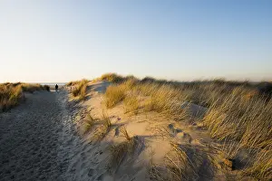 Northern Germany Photos Drucke: Trail to the beach through dunes