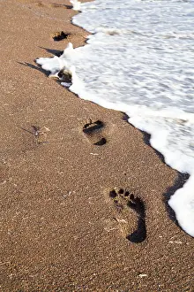 Deserted Beach Landscape Drucke: Trail of foot steps on the beach
