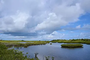 Black Point Wildlife Drive Drucke: Tranquil marshland with clouds and vegetation