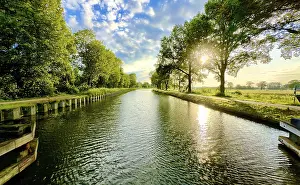 Deserted Tree Landscapes Drucke: A tranquil river scene surrounded by vibrant trees