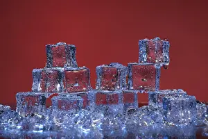 Transparent Ice Cubes Drucke: Transparent cold ice cubes on a red background