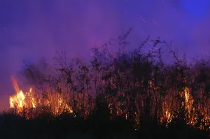 Paraguay Drucke: Brandrodung bei Nacht, Gran Chaco, Paraguay.