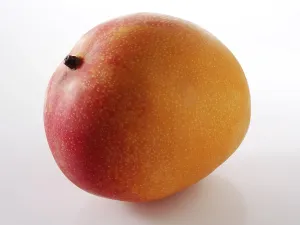 Food Photography Studio Background Drucke: Mango