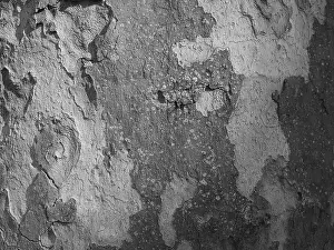 Central Europe Background Image Drucke: Tree bark as background, abstract structure