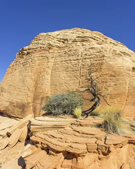 Rocky Formations In Utah Drucke: Tree and Candy Cliffs, rock formations