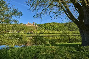 European Castle Photography Drucke: A tree casts shadows over river landscape with castle in the background