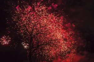 Dark Festive Atmosphere Drucke: Tree fireworks