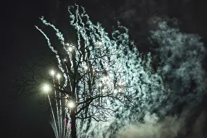 Multicolored Night View Drucke: Tree fireworks