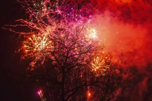 Dark Night Celebration Drucke: Tree fireworks