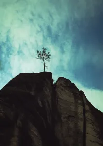 Deserted Mountain Peak Drucke: Tree on the top of the mountain rock