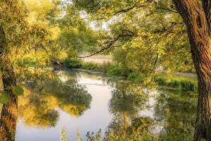 Bilder Datiert 7. September 2024: Das Baum ist im Wasser widergespiegelt.
