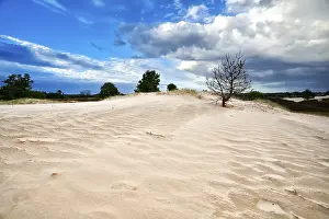 Deserted Sand Dune Scene Drucke: Tree on sand dune and blue sky
