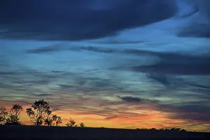 Tree Silhouettes At Sunset Drucke: Tree silouettes with dark clouds at sunset