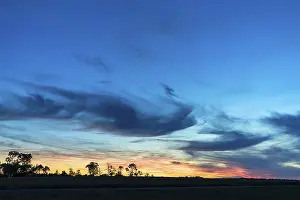 Evening Atmosphere In Nature Drucke: Tree silouettes with dark clouds at sunset
