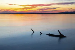 European Evening Atmosphere Drucke: Tree trunk in the water in front of sunset