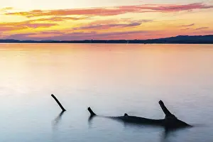 European Lake Views Drucke: Tree trunk in the water in front of sunset