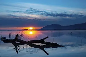 Blue Hour Lake Scene Drucke: Tree trunk on water surface with reflection at blue hour
