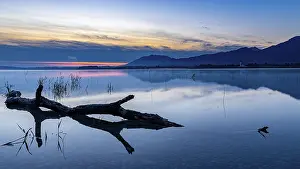 Atmospheric Evening Sky Germany Drucke: Tree trunk on water surface with reflection at blue hour