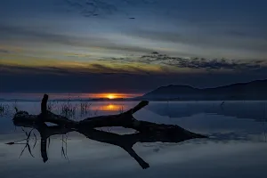 Southern Germany Evening Atmosphere Drucke: Tree trunk on water surface with reflection at blue hour